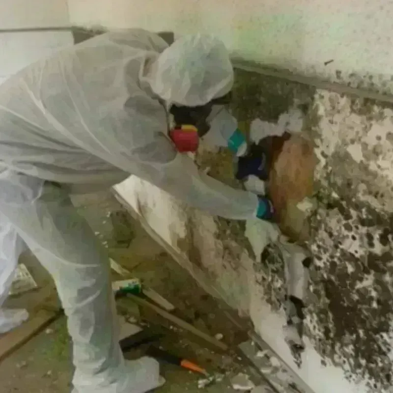 Mold Remediation and Removal in Richmond County, NY